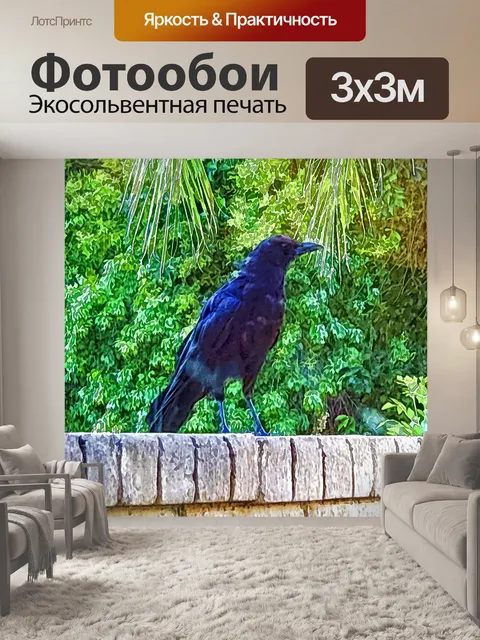 Фотообои Черный ворон