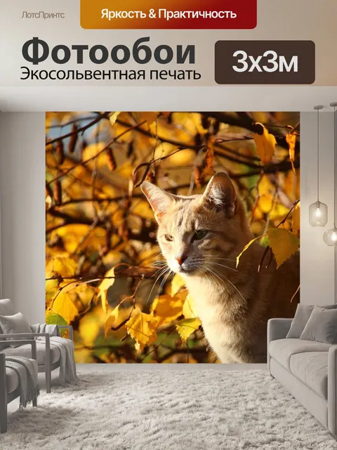 Фотообои Падение