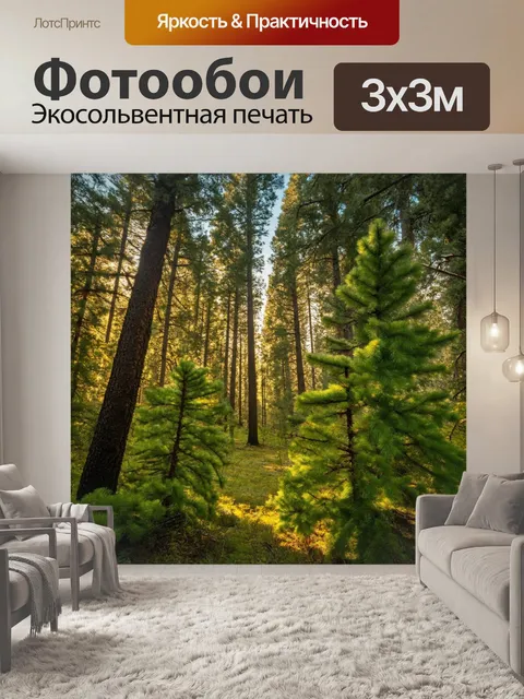 Фотообои еловый лес с мягким светом и прозрачным воздухом