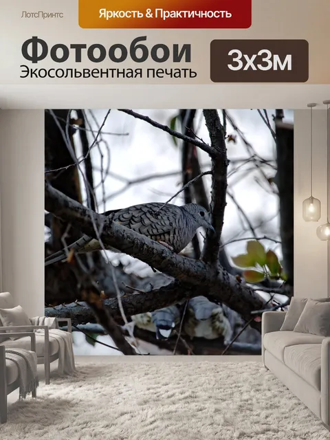 Фотообои Птица