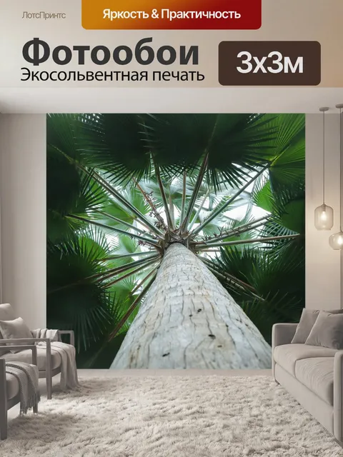 Фотообои Пальма