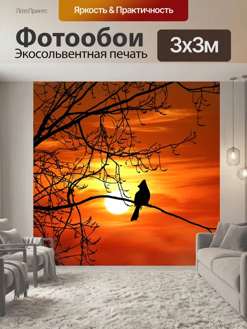 Фотообои Силуэт заката птицы