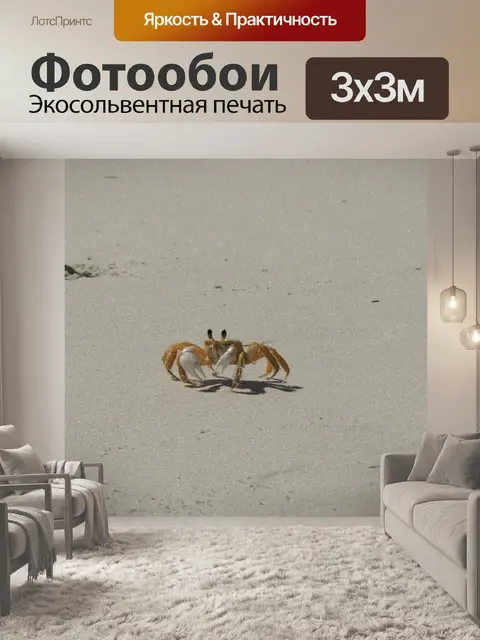 Фотообои Краб