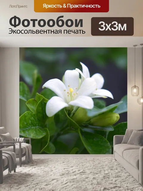 Фотообои белые цветы
