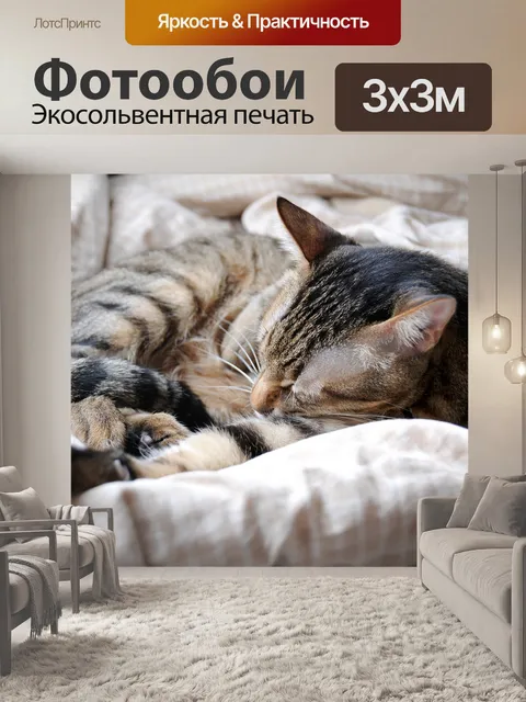 Фотообои Кошка