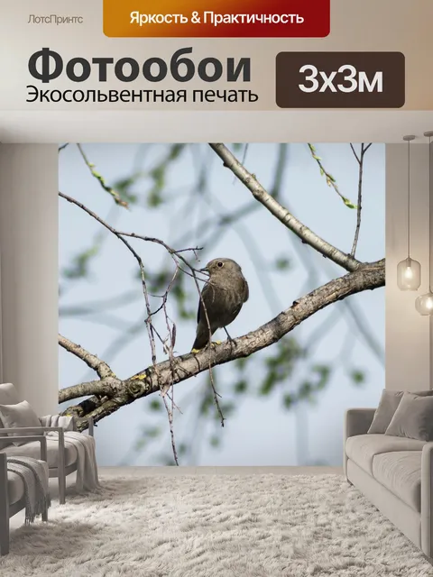 Фотообои Птица