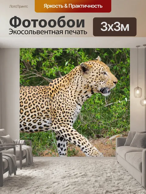 Фотообои Леопард