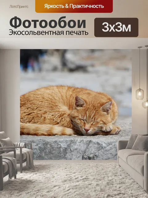 Фотообои Кошка
