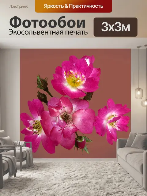 Фотообои Кустовая роза робин гуд