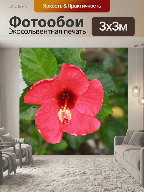 Фотообои Природа