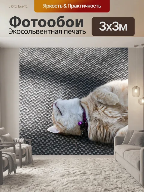 Фотообои Рыжий кот