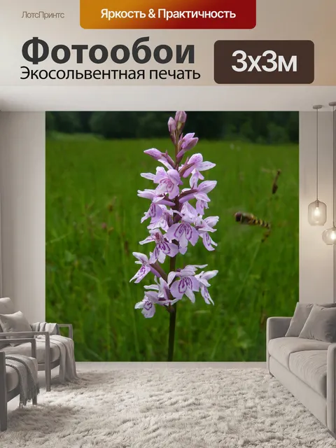 Фотообои Цветок