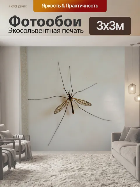 Фотообои Комар