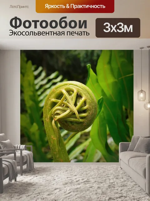 Фотообои Папоротник