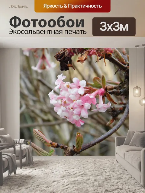 Фотообои Цветок