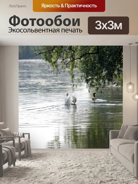 Фотообои Лебедь