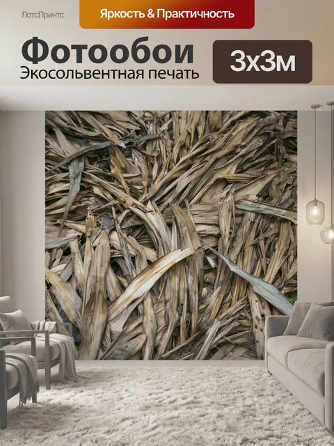 Фотообои Сухие листья