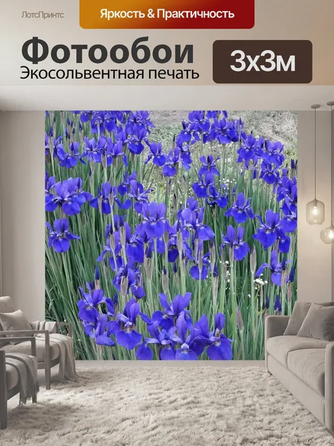 Фотообои Ирис