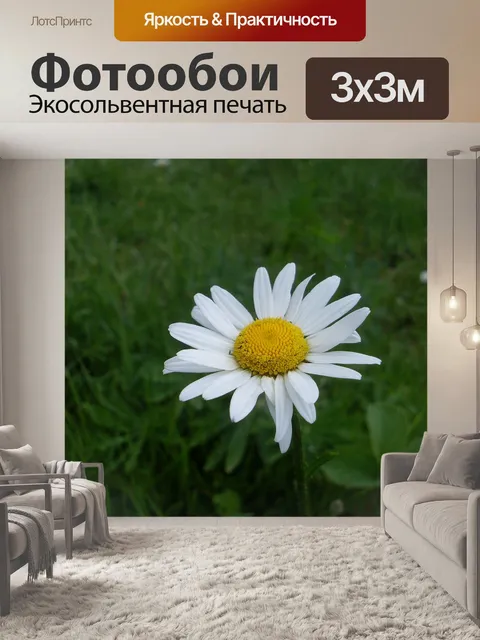 Фотообои Цветок