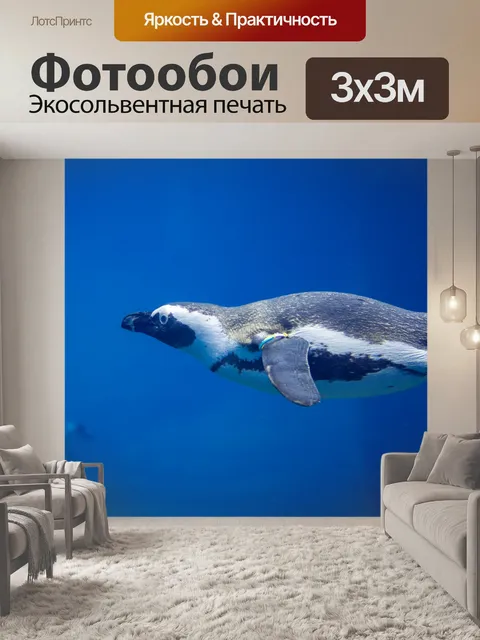 Фотообои пингвин под водой