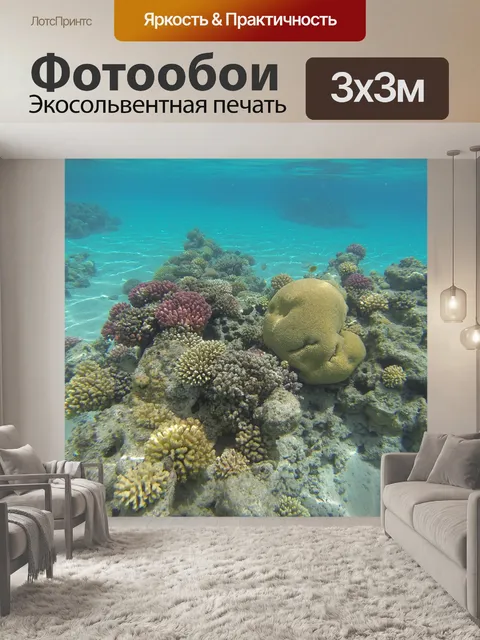 Фотообои Подводная фауна