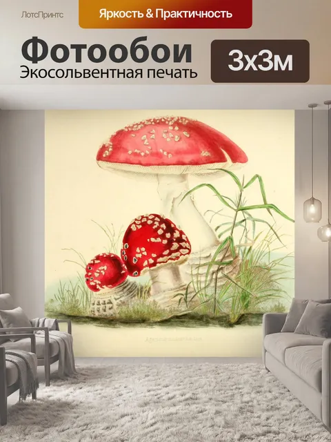 Фотообои Винтажная иллюстрация грибов чемпиона