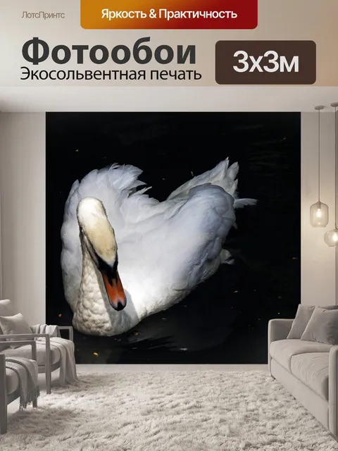 Фотообои белый лебедь на темном пруду