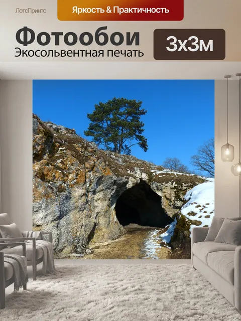 Фотообои Птица плита пещера