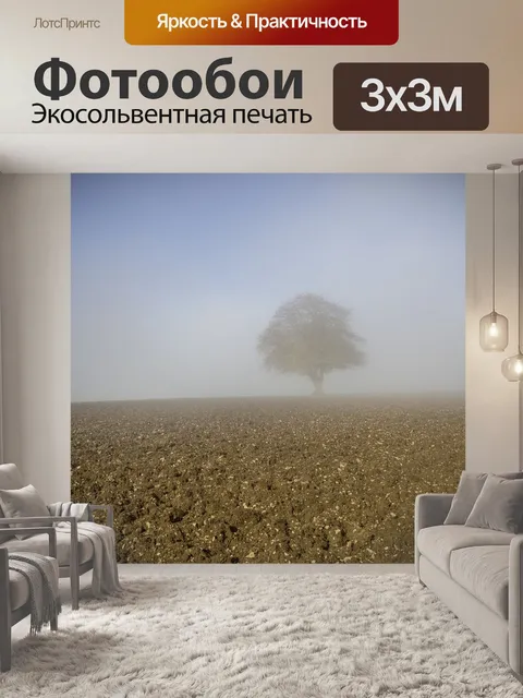 Фотообои Туман