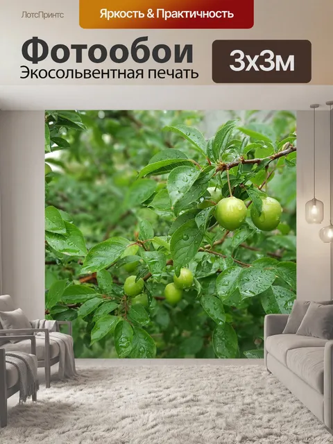 Фотообои Сливы