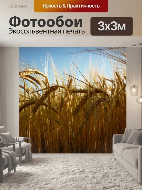Фотообои Колоски
