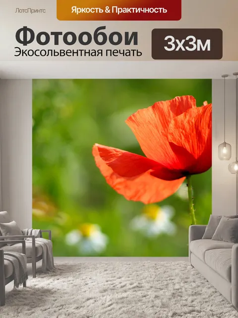 Фотообои Red