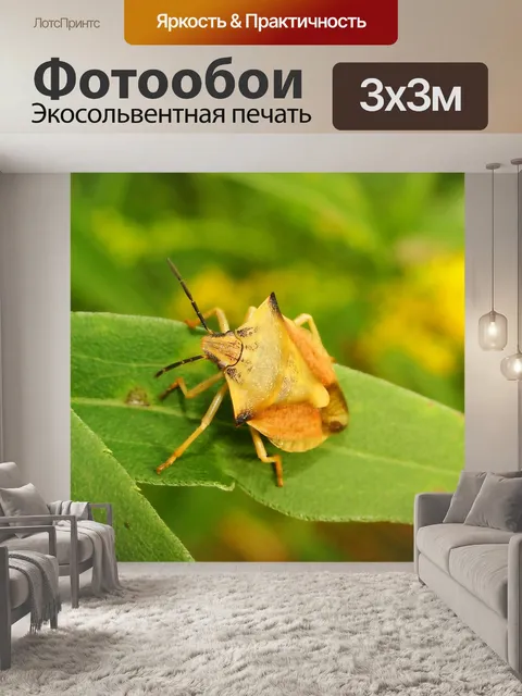 Фотообои Borczyniec фруктовый