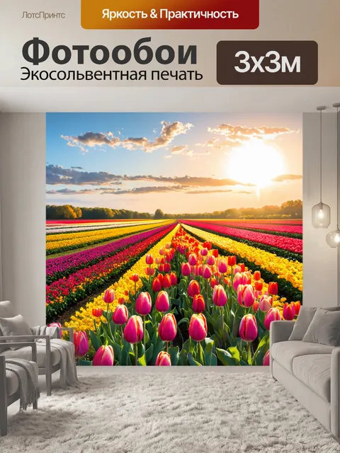Фотообои пейзаж в стиле рисунка карандашом, яркие цветные поля с тюльпанами, утренний свет делает их еще красивее