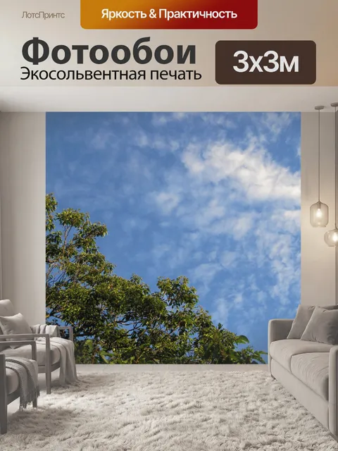 Фотообои зеленое дерево сверху и перо облако