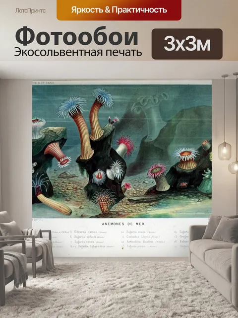 Фотообои Риф морской анемоны