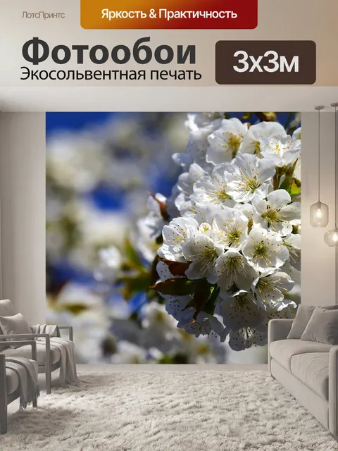 Фотообои Вишни в цвету