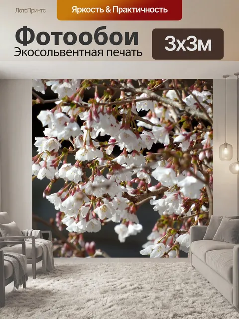 Фотообои Цветы