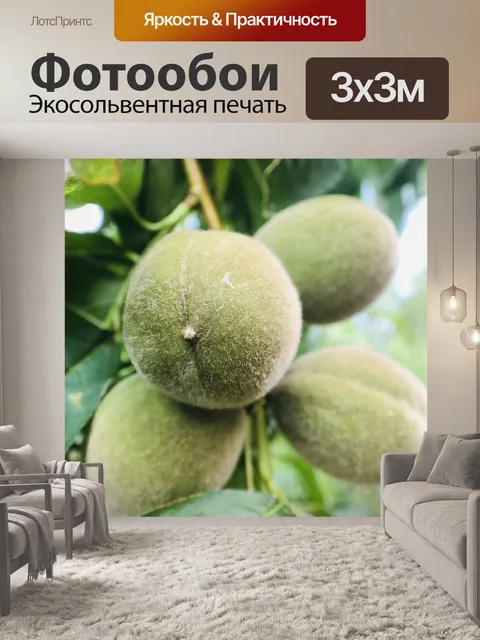 Фотообои Фрукты