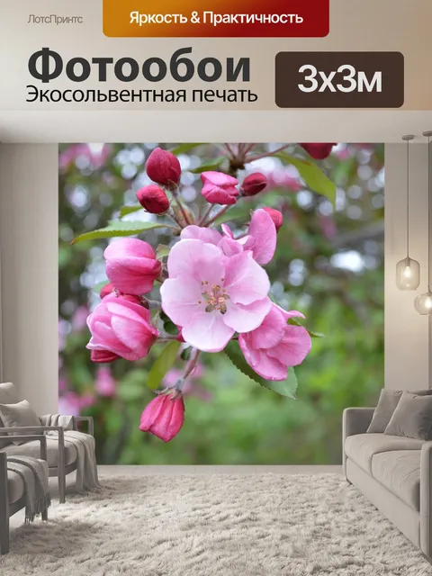 Фотообои Вишня