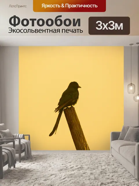 Фотообои Птица