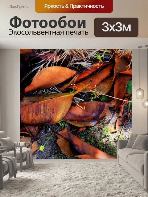 Фотообои Опавшие листья магнолии