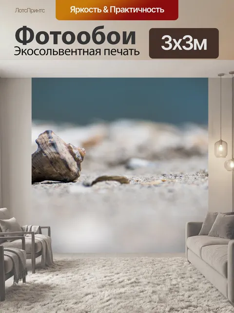 Фотообои Морская ракушка