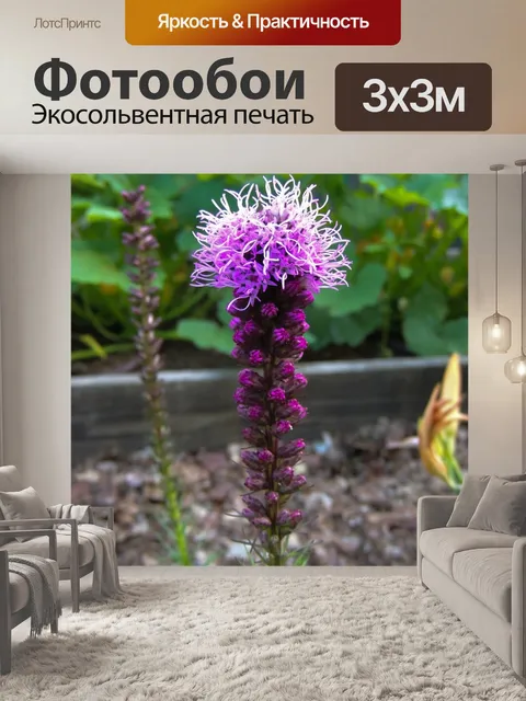 Фотообои Лиатрис