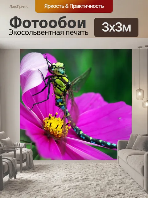 Фотообои Стрекоза