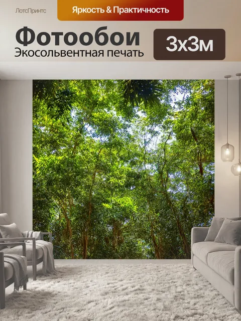 Фотообои тропические заливающиеся солнцем леса