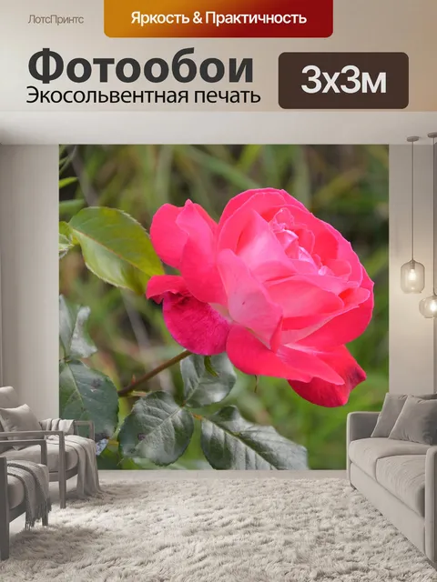 Фотообои Розовый профиль