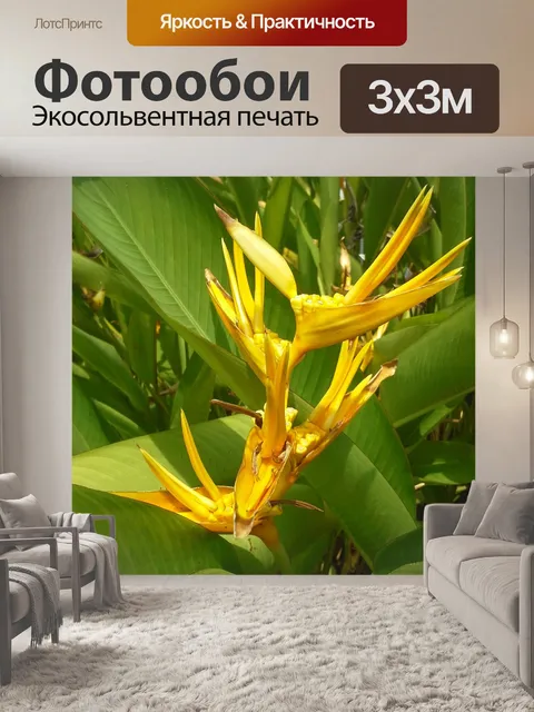 Фотообои Райская птица