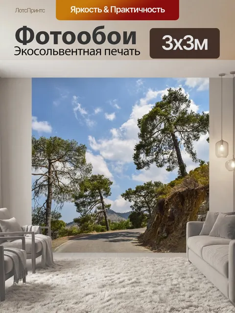 Фотообои Дорога