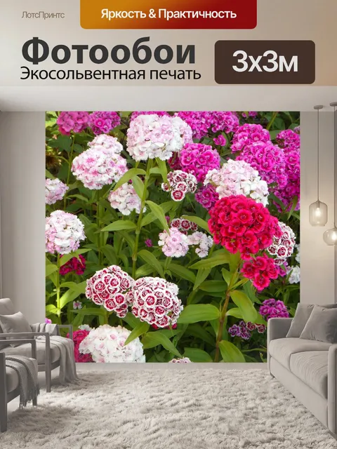Фотообои Садовые цветы